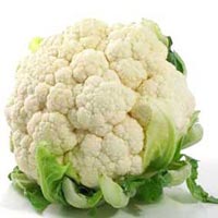 Fresh Cauliflower Manufacturer Supplier Wholesale Exporter Importer Buyer Trader Retailer in penukonda Andhra Pradesh India